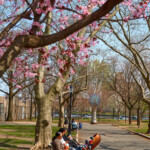 Babies in a Local Park