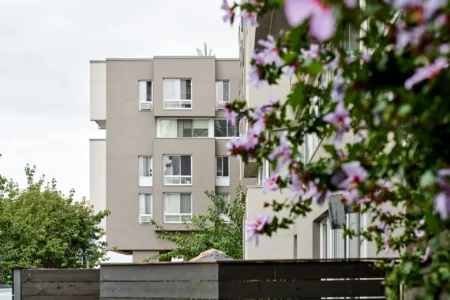 The Landings apartment building partially framed by flowering branches in the foreground.